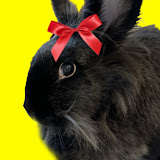 @JackpotFamous avatar